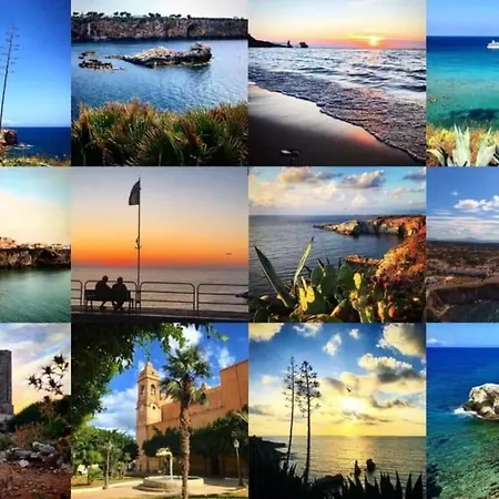 Love * Terrasini